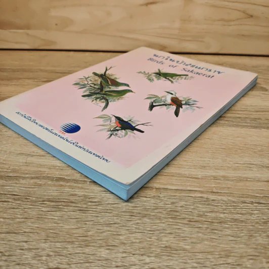 นกในป่าสะแกราช Birds of Sakaerat - สถาบันวิจัยวิทยาศาสตร์และเทคโนโลยีแห่งประเทศไทย รูปที่ 3