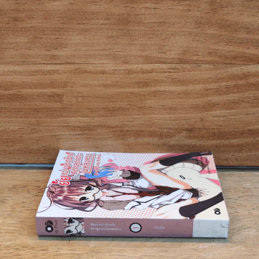 ยัยแว่นปากร้ายกับสภาลูกแกะไม่หลงทาง เล่ม 1 รูปที่ 2