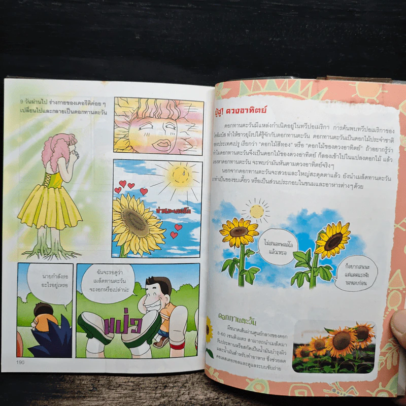ไขปริศนาธรรมชาติ เปิดตำนานเทพเจ้ากรีก เล่ม 1 รูปที่ 9
