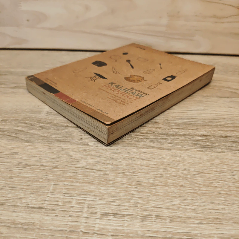 KAIJEAW PROJECT ไข่เจียวโปรเจกต์ - Homosapang รูปที่ 3