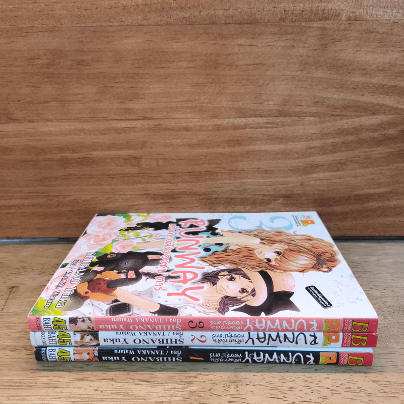 Runway เส้นทางฝันของซุป'ตาร์ 3 เล่มจบ รูปที่ 2