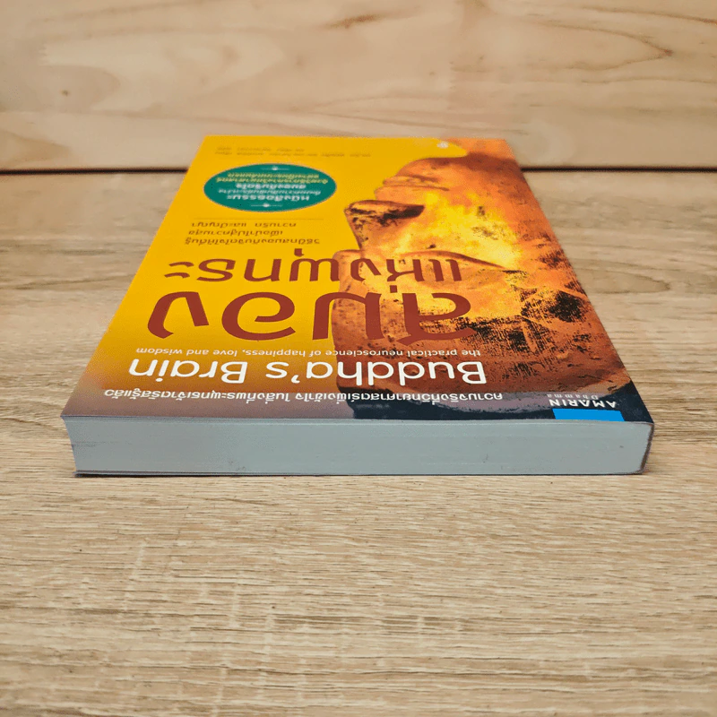 สมองแห่งพุทธะ : Buddha's Brain - Richard Mendius (ริชาร์ด แมนดิอัส), Rick Hanson (ริค แฮนสัน) รูปที่ 5