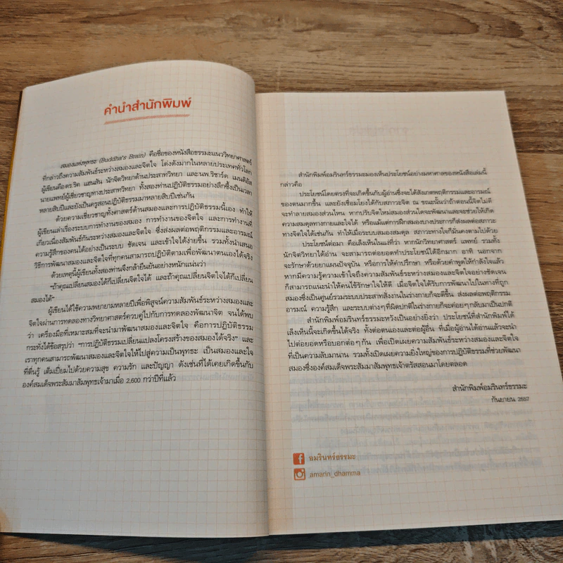 สมองแห่งพุทธะ : Buddha's Brain - Richard Mendius (ริชาร์ด แมนดิอัส), Rick Hanson (ริค แฮนสัน) รูปที่ 8