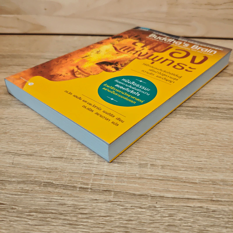 สมองแห่งพุทธะ : Buddha's Brain - Richard Mendius (ริชาร์ด แมนดิอัส), Rick Hanson (ริค แฮนสัน) รูปที่ 3