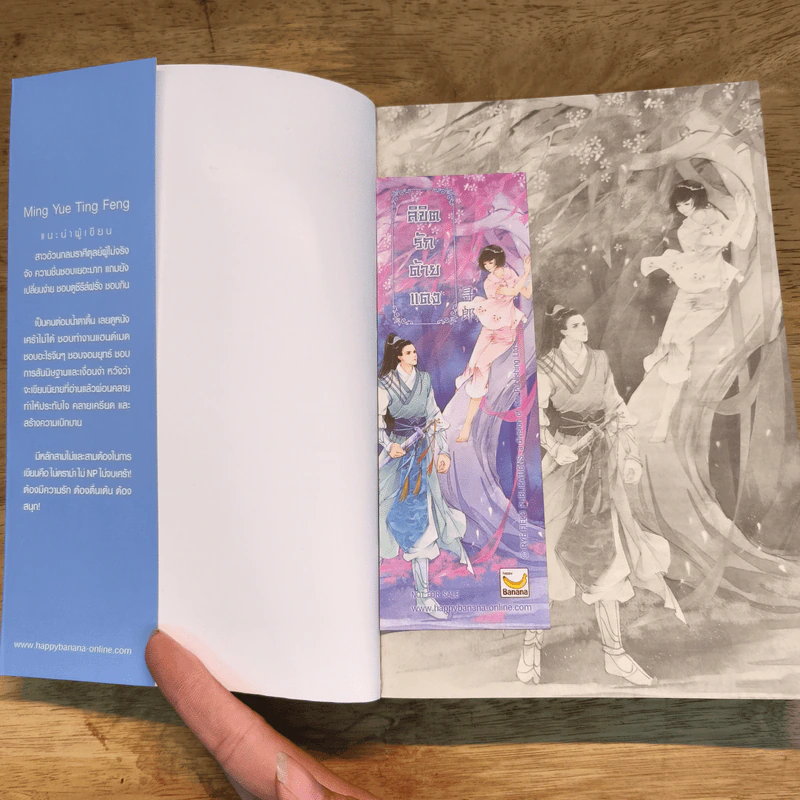ลิขิตรักด้ายแดง 3 เล่มจบ - หมิงเยี่ยติงเฟิง รูปที่ 6