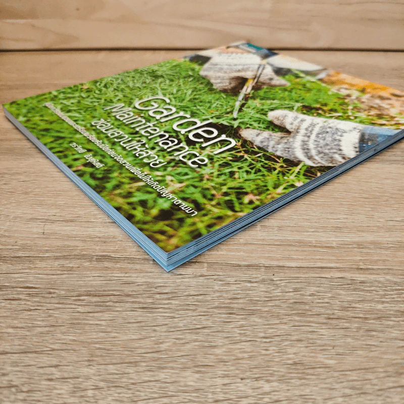 Garden Maintenance ซ่อมสวนให้สวย - วรวิทย์ อิงสุหัสต์ รูปที่ 3