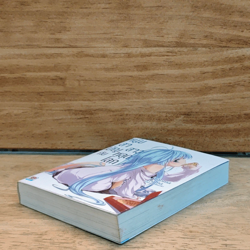 หนุ่มสามัญกับสาวหลุดโลก เล่ม 1 รูปที่ 3