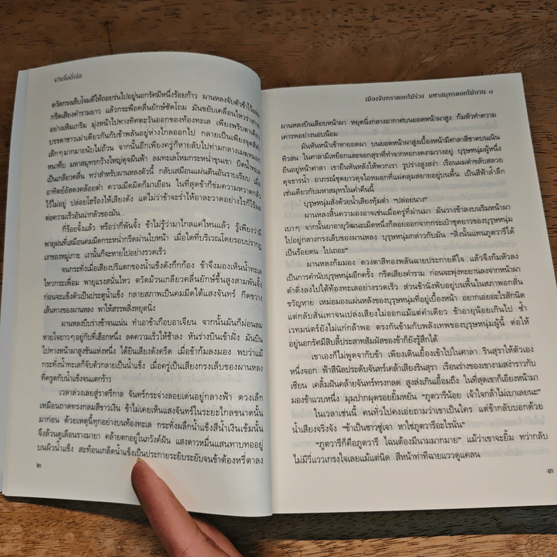 เมืองจันทราดอกไม้ร่วง มหาสมุทรดอกไม้บาน 2 เล่มจบ - จวินจื่ออี่เจ๋อ รูปที่ 7