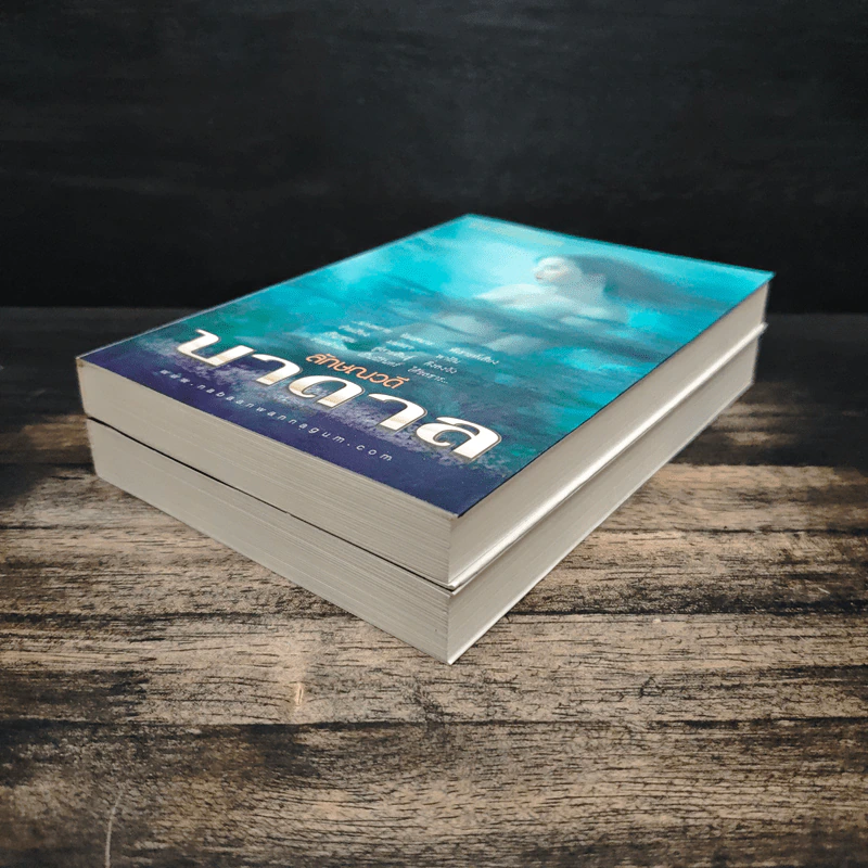 บาดาล 2 เล่มจบ - ลักษณวดี รูปที่ 4