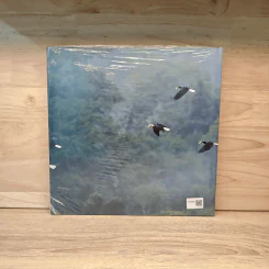 นกเงือกมรดกไทย มรดกโลก - พิไล พูลสวัสดิ์ รูปที่ 5