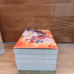 Box Set อาจารย์เป็นคนชั่วช่างยากเย็นเหลือเกิน 4 เล่มจบ - Na Zhi Hu Li รูปที่ 6