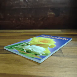 เหนือฟ้าเหนือดิน รูปที่ 4