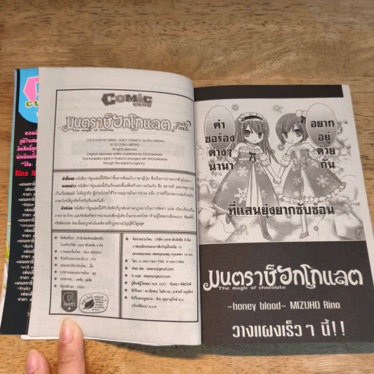 มนตราช็อกโกแลต The magic of chocolate ~guilty crunch~ เล่ม 7 - Mizuho Rino รูปที่ 8