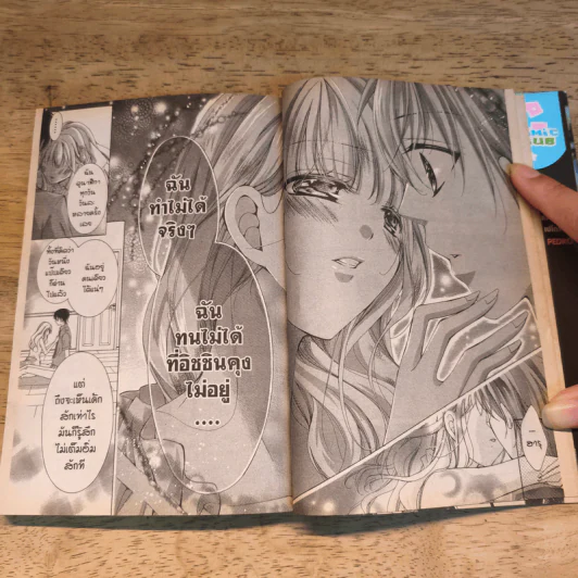 ซาตานหวานใจ เล่ม 1-5 รูปที่ 11