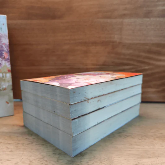 Box Set อาจารย์เป็นคนชั่วช่างยากเย็นเหลือเกิน 4 เล่มจบ - Na Zhi Hu Li รูปที่ 5