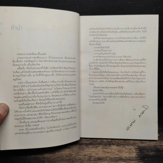 สัมพันธ์: บันทึกความทรงจำของวง Pause - นรเทพ มาแสง รูปที่ 6