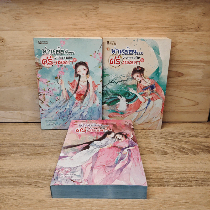 ท่านอ๋องข้าอยากเป็นศรีภรรยา 3 เล่มจบ - Wu Shi Yi รูปที่ 1