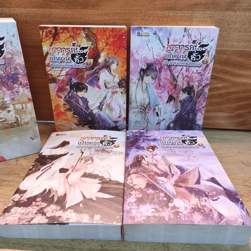 Box Set อาจารย์เป็นคนชั่วช่างยากเย็นเหลือเกิน 4 เล่มจบ - Na Zhi Hu Li รูปที่ 3