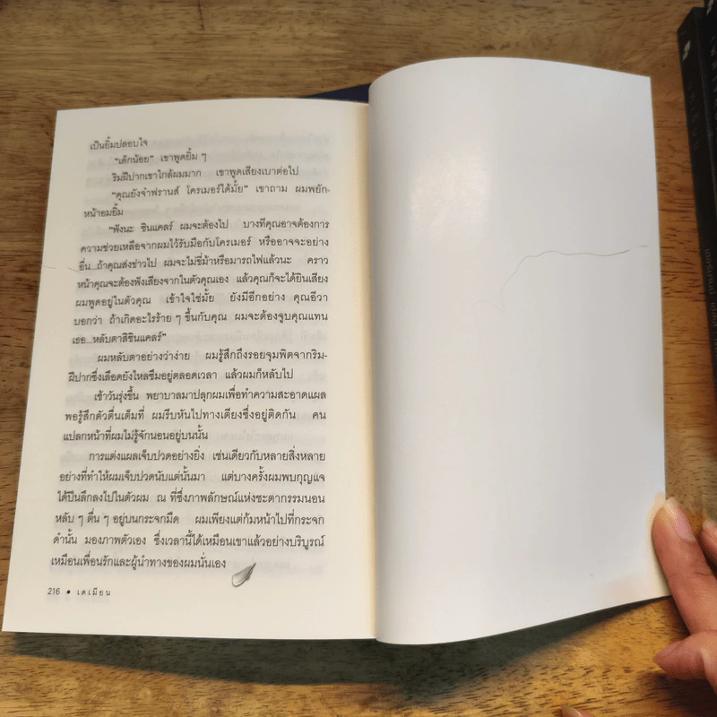 Box Set หนังสือชุดเฮสเสสดใส 10 เล่ม สเตปเปนวูล์ฟ Steppenwolf - เฮอร์มานน์ เฮสเส รูปที่ 9