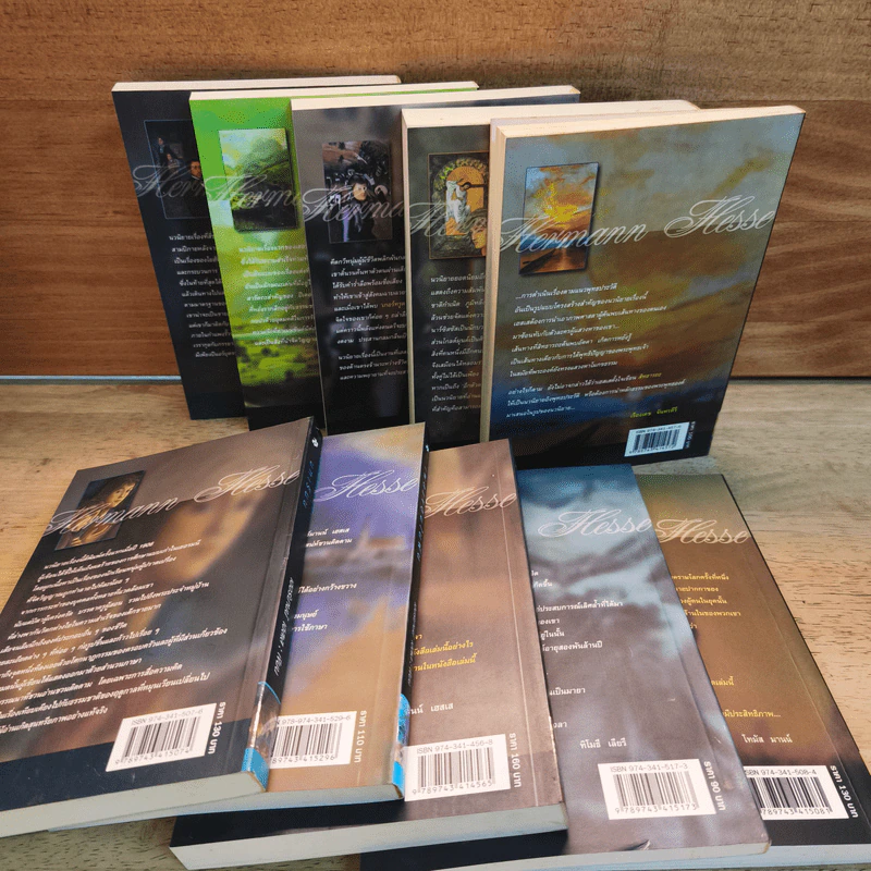 Box Set หนังสือชุดเฮสเสสดใส 10 เล่ม สเตปเปนวูล์ฟ Steppenwolf - เฮอร์มานน์ เฮสเส รูปที่ 13