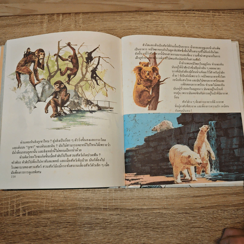 สารานุกรมสำหรับเด็ก เล่ม 1-4 รูปที่ 18