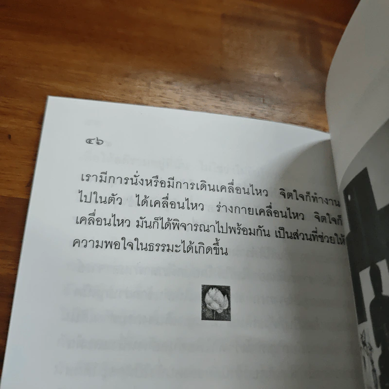 ความเจริญในทางที่ประเสริฐ - ปสนโน ภิกขุ รูปที่ 9