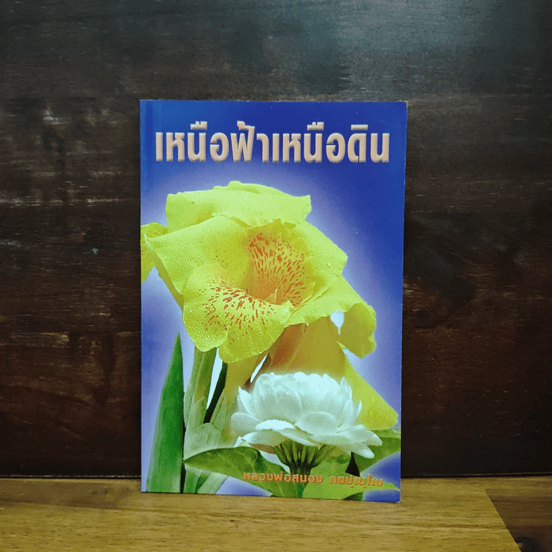 เหนือฟ้าเหนือดิน รูปที่ 1