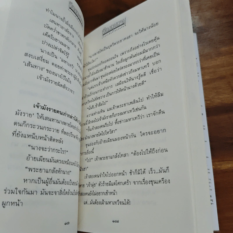 เวียงกุมกาม - ทมยันตี รูปที่ 8