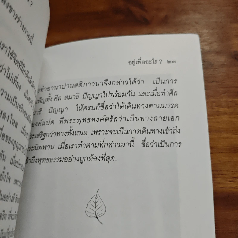 อยู่เพื่อออะไร - หลวงพ่อชา รูปที่ 8