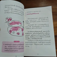 เทคนิคจำแบบกาวตราช้าง ติดสนิทไม่มีวันลืมใน 1 นาที - อุสึเดะ มะซะมิ รูปที่ 12