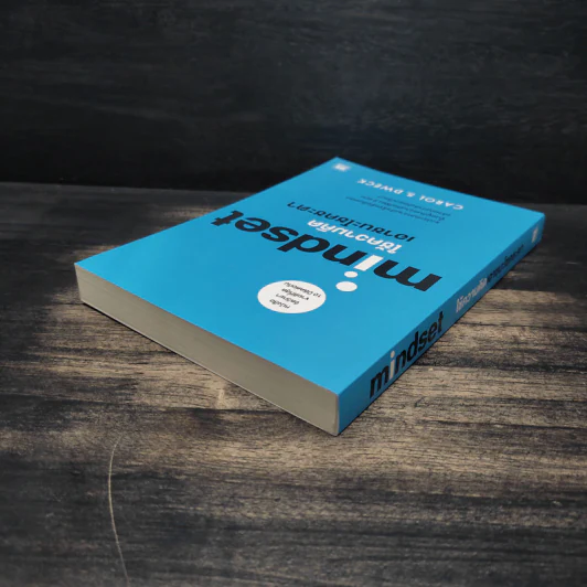 Mindset ใช้ความคิดเอาชนะโชคชะตา - Carol S.Dweck รูปที่ 5