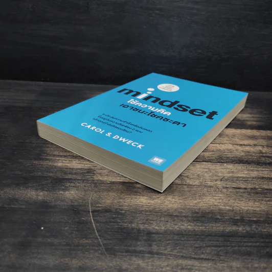 Mindset ใช้ความคิดเอาชนะโชคชะตา - Carol S.Dweck รูปที่ 4