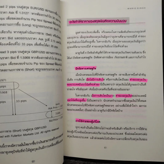 17 กลยุทธ์ การทำกำไรในตลาด Forex - Mario Singh รูปที่ 9