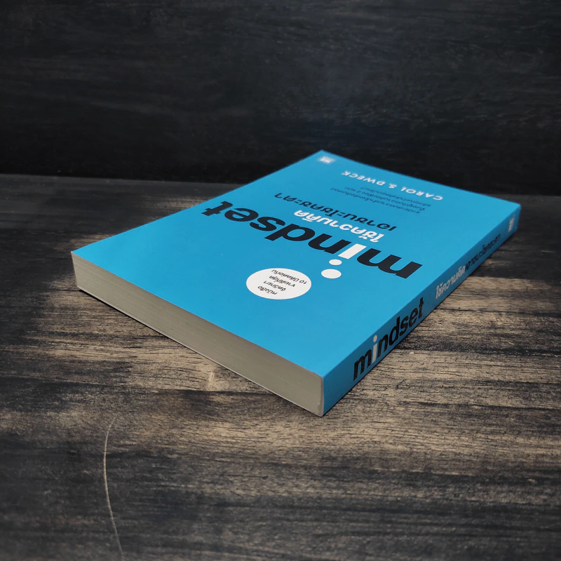 Mindset ใช้ความคิดเอาชนะโชคชะตา - Carol S.Dweck รูปที่ 5