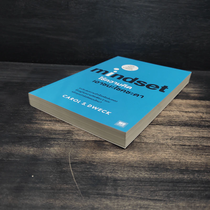 Mindset ใช้ความคิดเอาชนะโชคชะตา - Carol S.Dweck รูปที่ 4