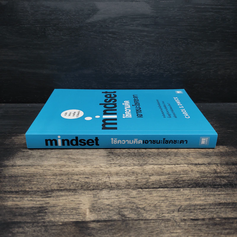 Mindset ใช้ความคิดเอาชนะโชคชะตา - Carol S.Dweck รูปที่ 3