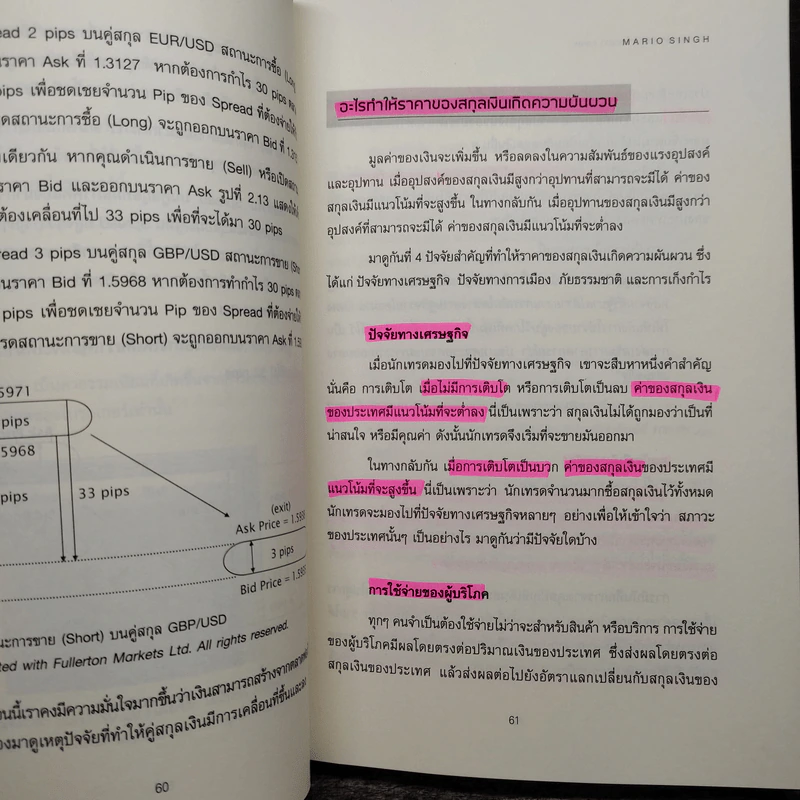 17 กลยุทธ์ การทำกำไรในตลาด Forex - Mario Singh รูปที่ 9