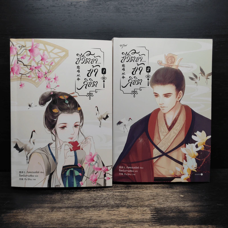 ชีวิตข้าข้าลิขิต 2 เล่มจบ - ถังหยวนเอ๋อร์ รูปที่ 1