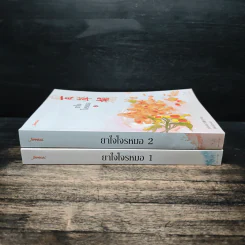 ยาใจโจรหมอ 2 เล่มจบ รูปที่ 3