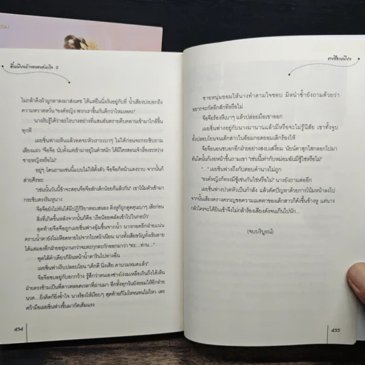อี๋เหนียงห้าขององค์หญิง 2 เล่มจบ - ตงซือเหนียง รูปที่ 10
