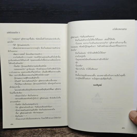 เล่ห์รักจอมโจร 5 เล่มจบ - อวี่เซี่ยวหลานซาน รูปที่ 11
