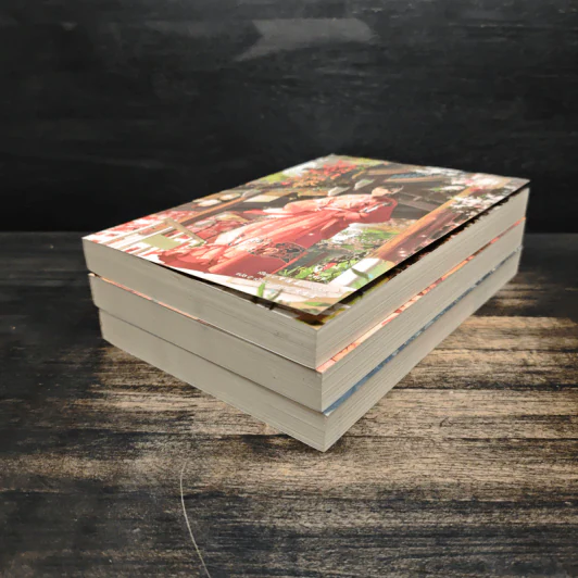 ขุนนางพลิกแผ่นดิน เล่ม 1-3 - เมิ่งซีสือ รูปที่ 3