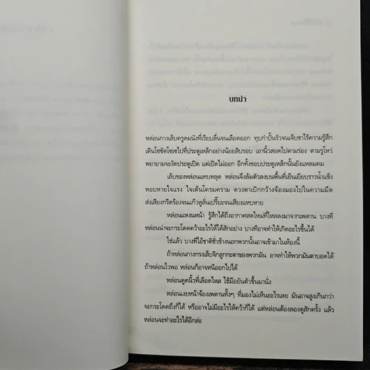 หลุมพยาบาท - ยูซี แอดเลอร์-โอลเซน รูปที่ 7