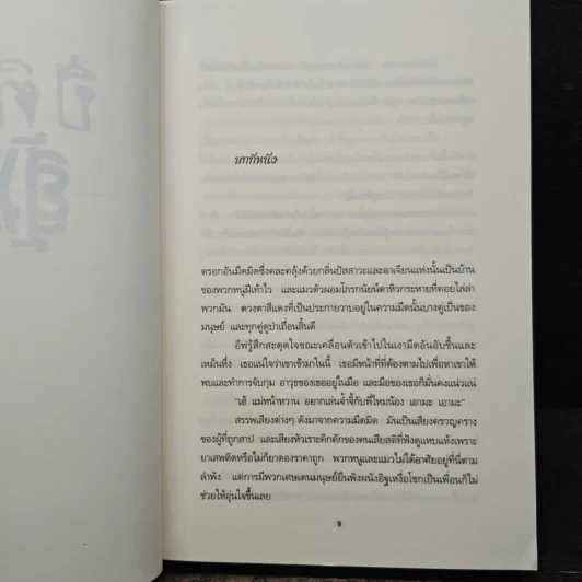 ปีติสังหาร - เจ.ดี.ร๊อป, ปิยะภา รูปที่ 7