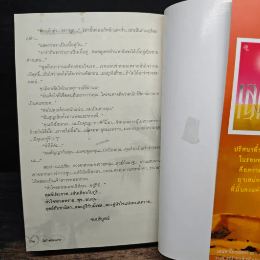 หัวใจทะเลทราย - โสภี พรรณราย รูปที่ 8