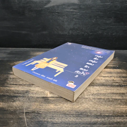 หนุ่มซึ้งหนุ่มแสบรักแนบหัวใจ เล่ม 3 รูปที่ 4