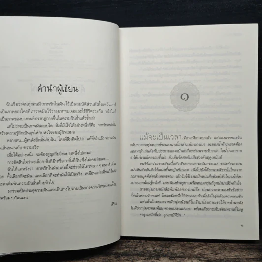ภาพรักในฝัน - สิริณ รูปที่ 7