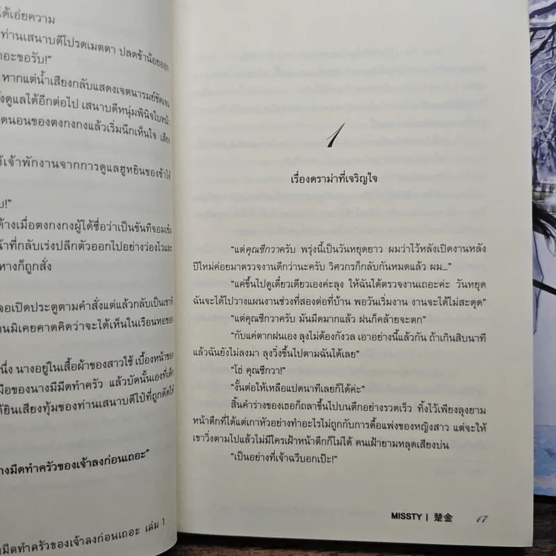 ฮูหยินของข้า โปรดวางมีดทำครัวของเจ้าลงก่อนเถอะ 2 เล่มจบ - missty รูปที่ 9