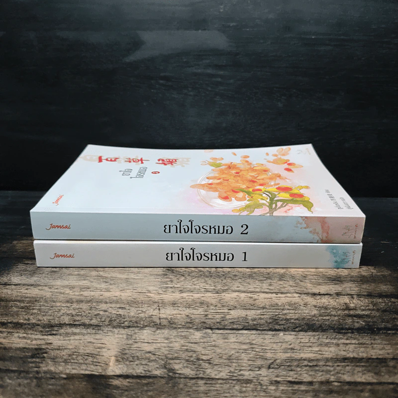 ยาใจโจรหมอ 2 เล่มจบ รูปที่ 3