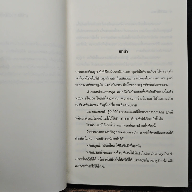 หลุมพยาบาท - ยูซี แอดเลอร์-โอลเซน รูปที่ 7